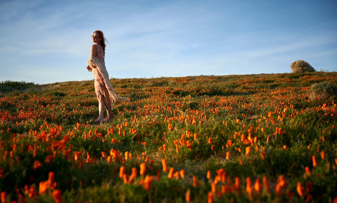 Editorial portrait in a golden-hour California poppy superbloom