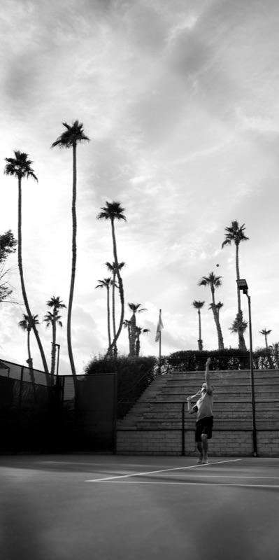Black-and-white serve at CC Tennis Club, beneath towering palms